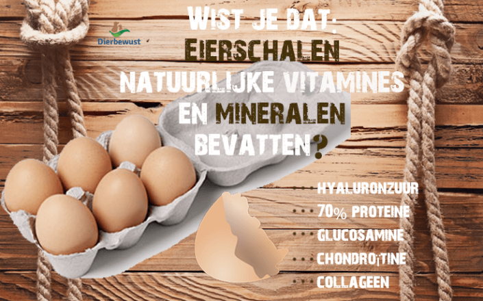 Honden die rauwe eieren met schil eten, gevaarlijk?