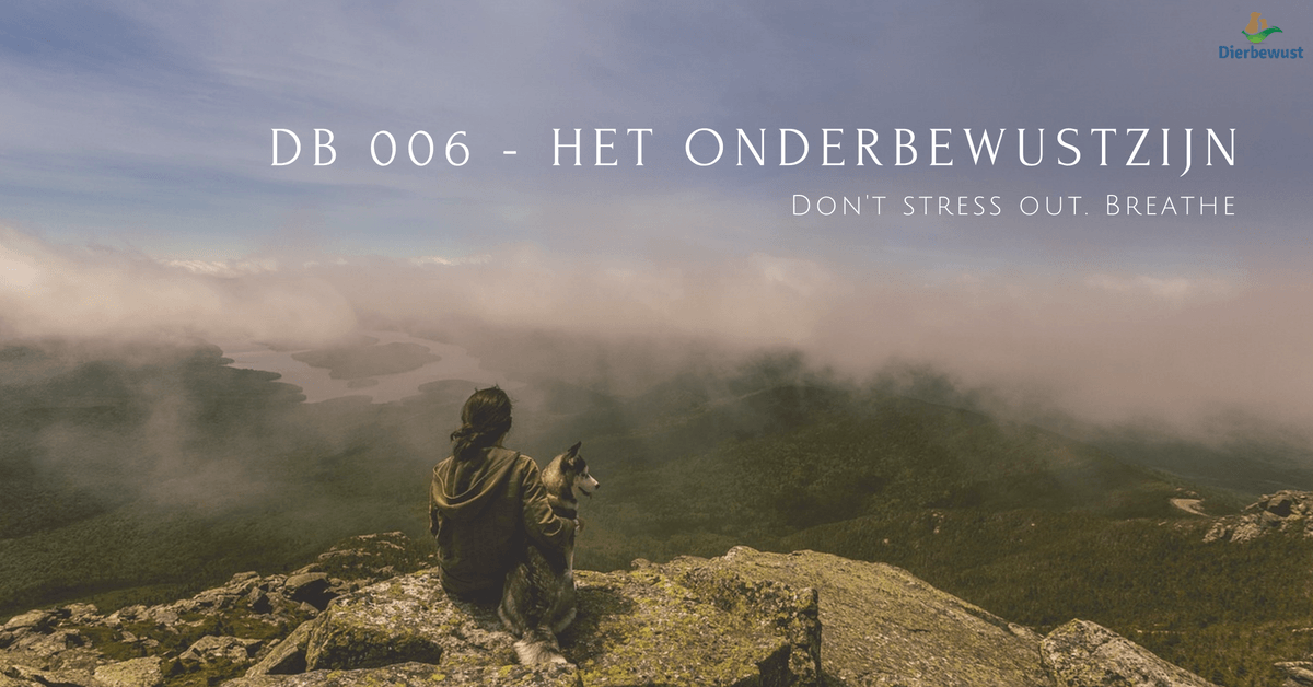 Het onderbewustzijn