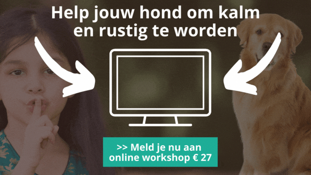 online workshop stress bij honden