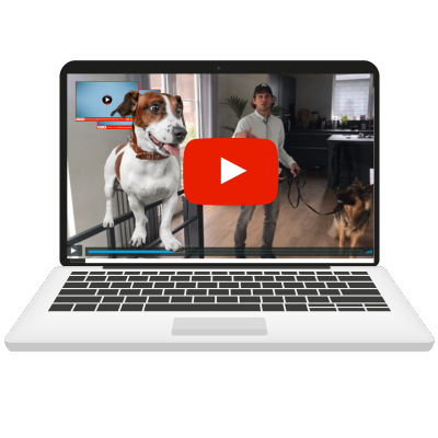 bekijk video webinar new