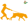 Help, Mijn Hond Trekt