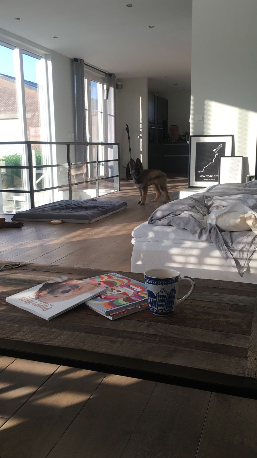 slaap de eerste maanden bij je pup als hij piept in de nacht slaap de eerste maanden bij je pup als hij piept in de nacht