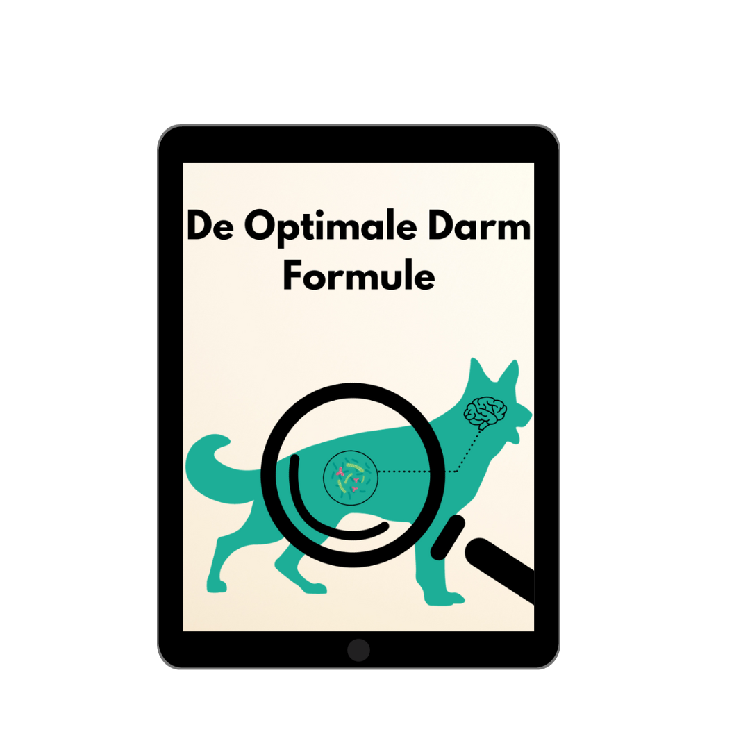 De optimale darm formule - guide