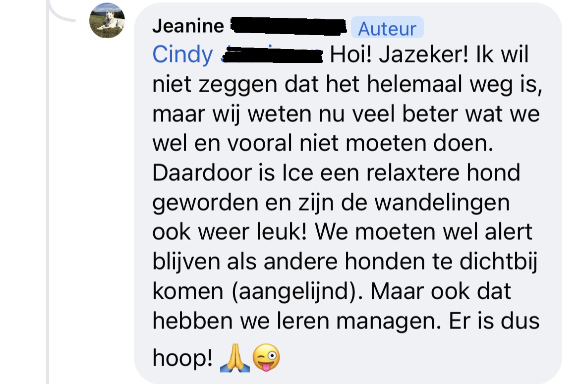 Jeanine - relaxtere hond op wandelingen