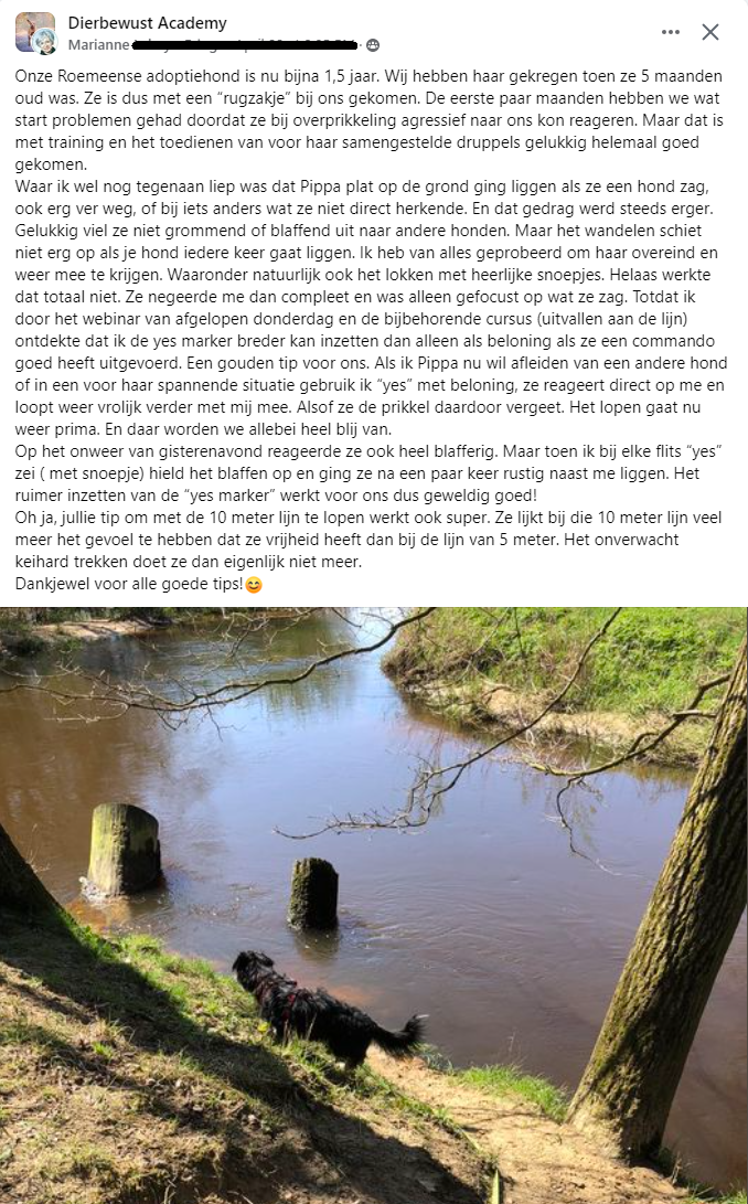 Marianne - yes marker werkt voor ons super goed