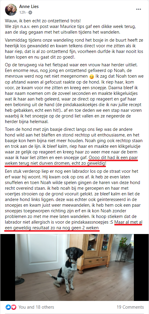 Testimonial Anne Lies - underlined