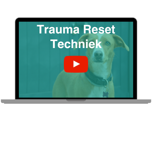 Trauma Reset Techniek