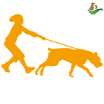 Happy Dog Academy