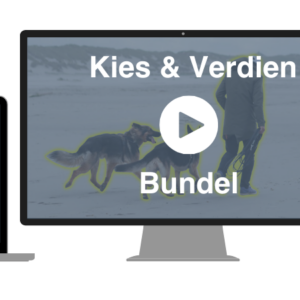 Bundel Kies & Verdien - 3 spellen