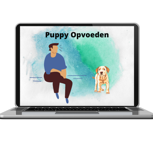 Happy Dog Academy