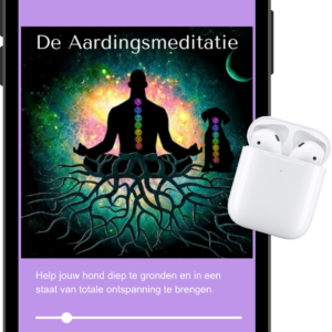 Handige oefening om je hond te aarden en tot rust te brengen