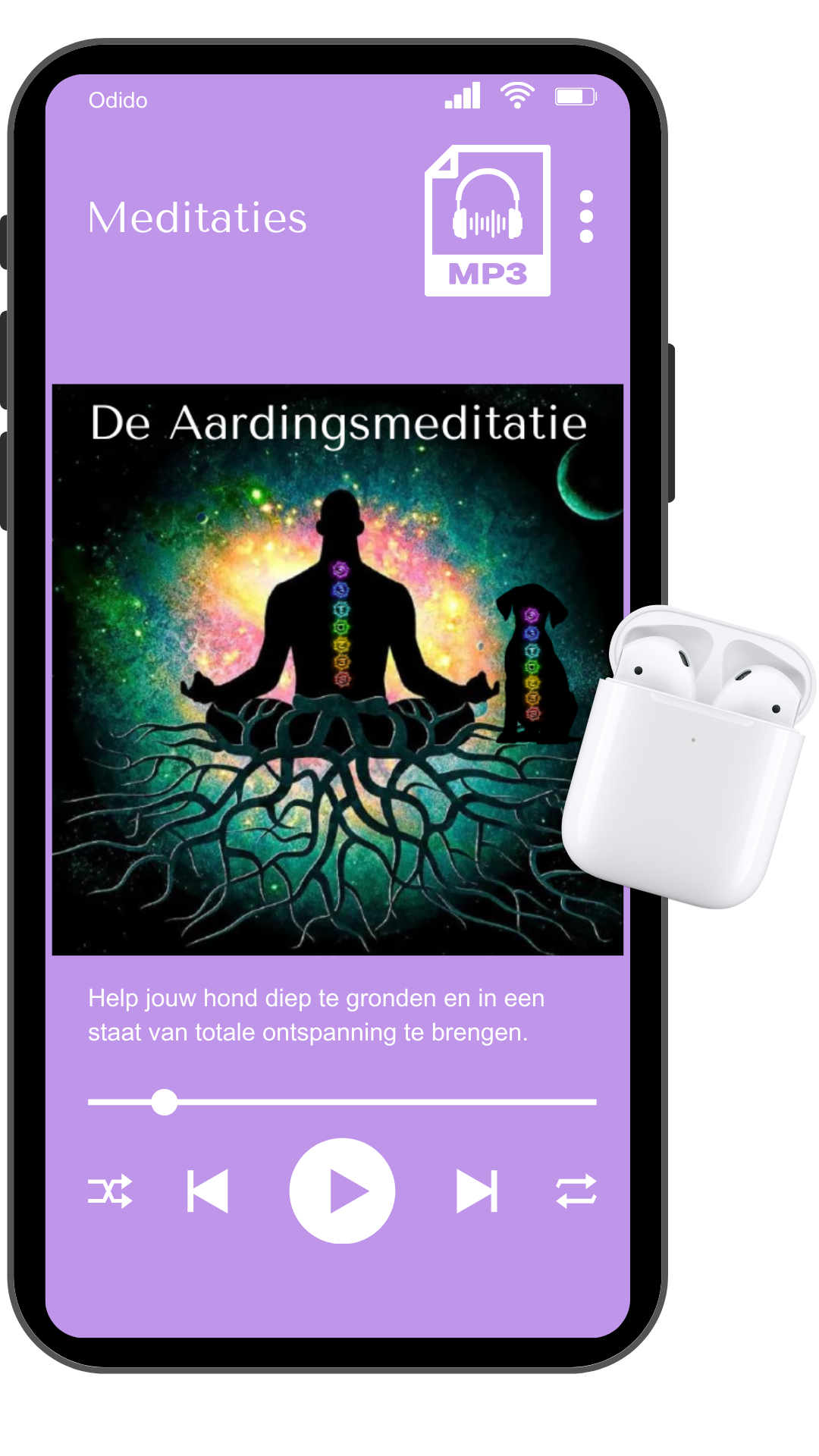 aardingsmeditatie product