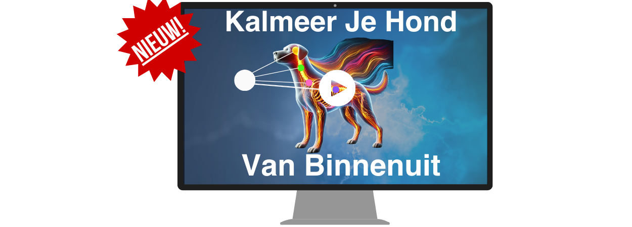 kalmeer je hond vanuit binnenuit EFT tapping - mob new1