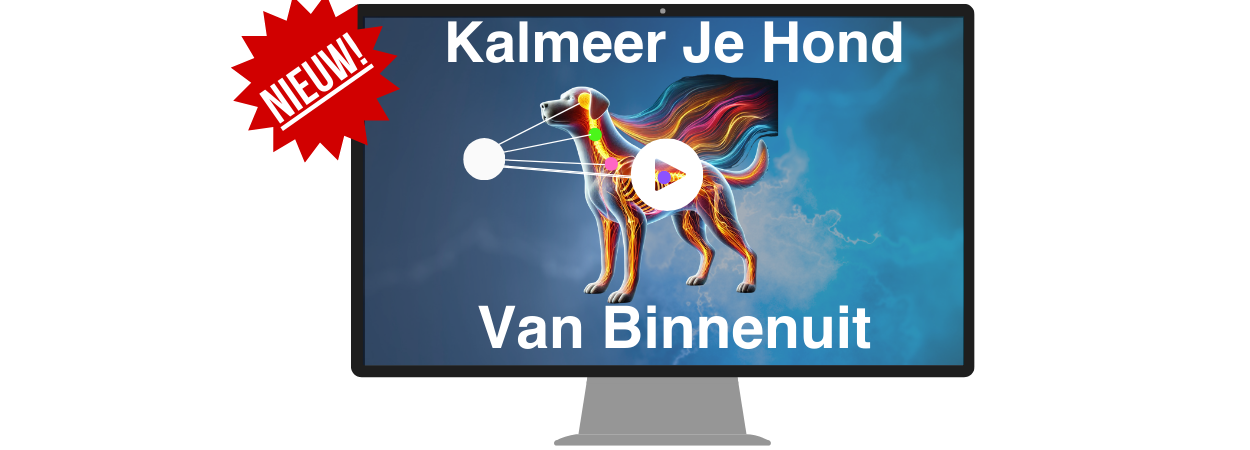 kalmeer je hond vanuit binnenuit EFT tapping - mob